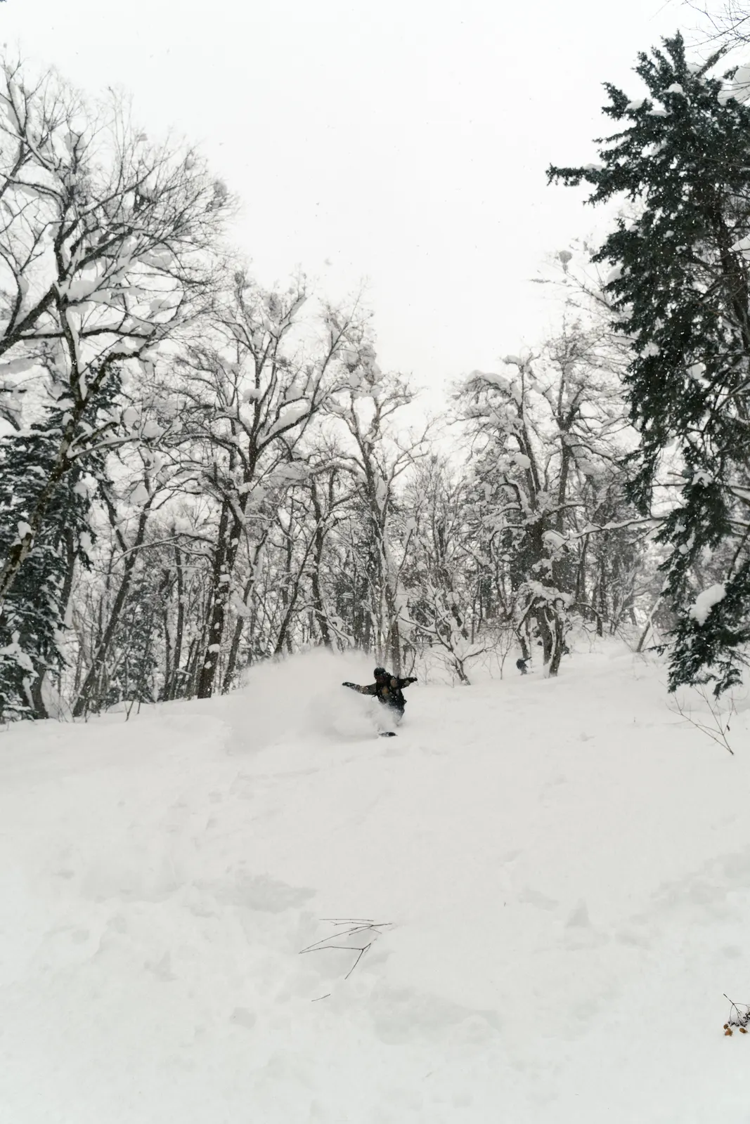 Powder Trip 02 in Japan